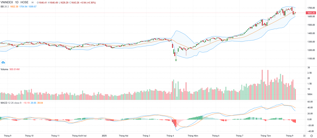Biểu đồ kỹ thuật VN-Index.