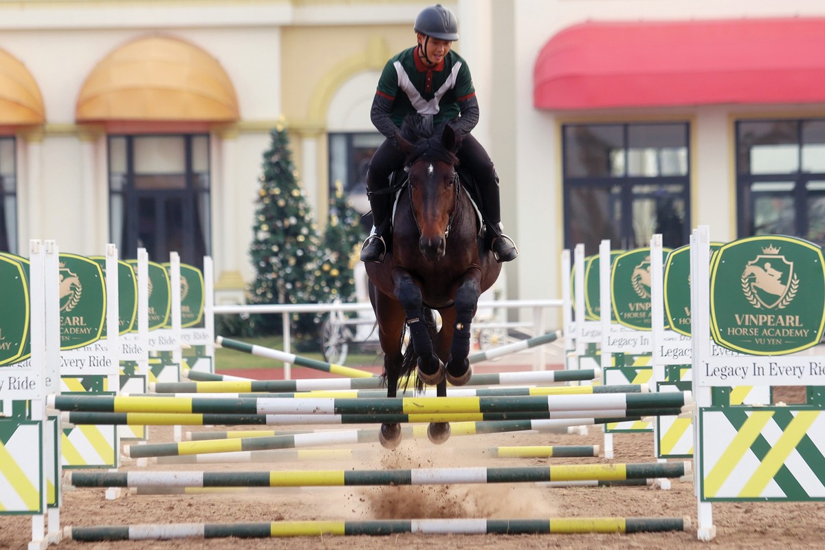 Năm 2026 - năm con Ngựa - biểu trưng cho sự tự do, tốc độ, năng lượng, bền bỉ và thành công; đồng thời gắn với khát vọng vươn xa, tinh thần bứt phá, lòng dũng cảm và trí tuệ mẫn tiệp. Năm 2026 - năm con Ngựa - biểu trưng cho sự tự do, tốc độ, năng lượng, bền bỉ và thành công; đồng thời gắn với khát vọng vươn xa, tinh thần bứt phá, lòng dũng cảm và trí tuệ mẫn tiệp.