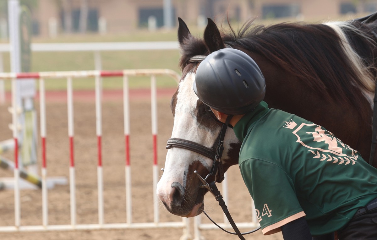 Theo nhiều nghiên cứu khoa học, ngựa sở hữu chỉ số thông minh cảm xúc (EQ) rất cao, chỉ đứng sau con người. Trên thế giới, ngựa được ứng dụng như một phương pháp trị liệu đặc biệt. Tại Singapore, “mã trị liệu” được xem là liệu pháp hiệu quả trong hỗ trợ điều trị các vấn đề tâm lý. Theo nhiều nghiên cứu khoa học, ngựa sở hữu chỉ số thông minh cảm xúc (EQ) rất cao, chỉ đứng sau con người. Trên thế giới, ngựa được ứng dụng như một phương pháp trị liệu đặc biệt. Tại Singapore, “mã trị liệu” được xem là liệu pháp hiệu quả trong hỗ trợ điều trị các vấn đề tâm lý.