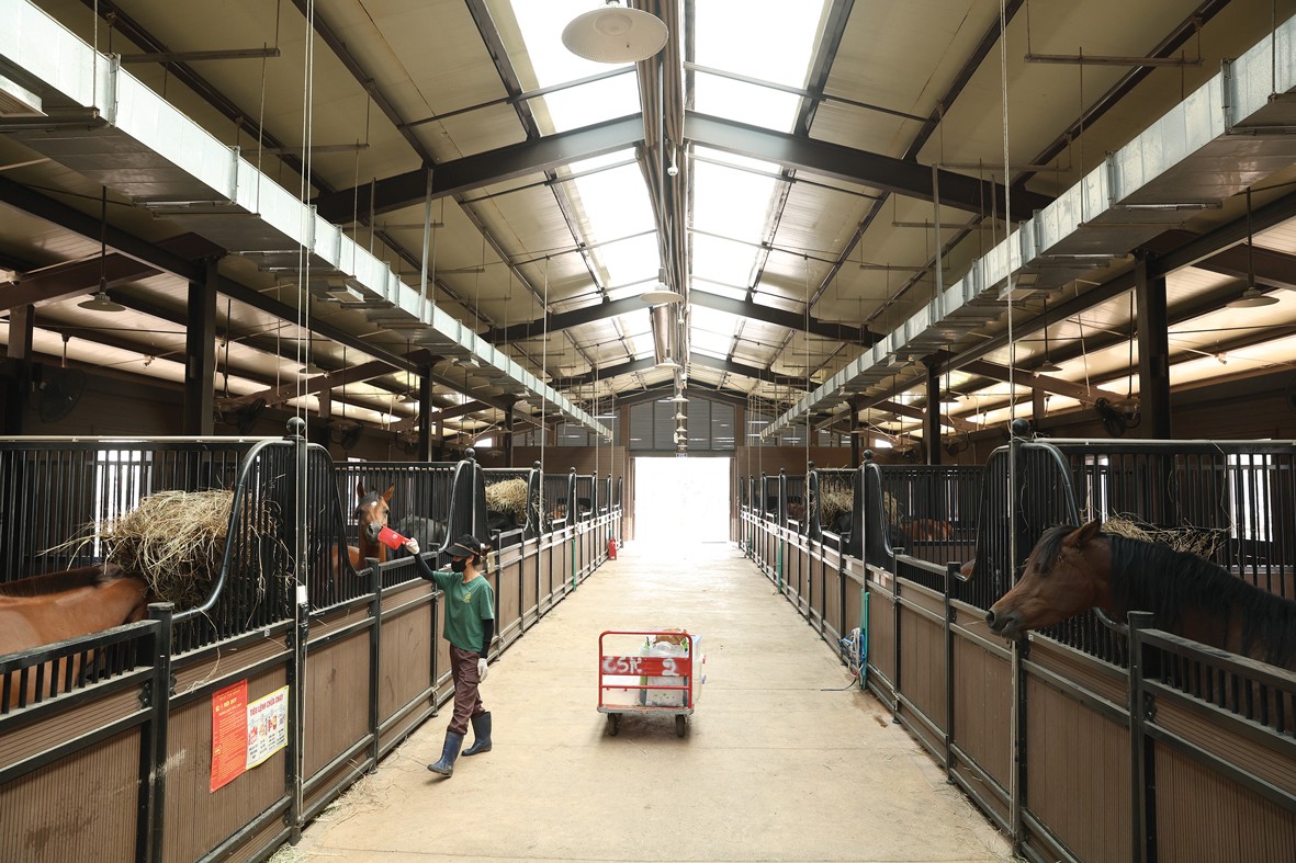 Học viện hiện quy tụ nhiều giống ngựa nổi tiếng thế giới như Akhal Teke, Shire, Andalusian, Friesian, Lipizzan, Quarter…, tạo nên một “bộ sưu tập sống” hiếm có. Học viện hiện quy tụ nhiều giống ngựa nổi tiếng thế giới như Akhal Teke, Shire, Andalusian, Friesian, Lipizzan, Quarter…, tạo nên một “bộ sưu tập sống” hiếm có.