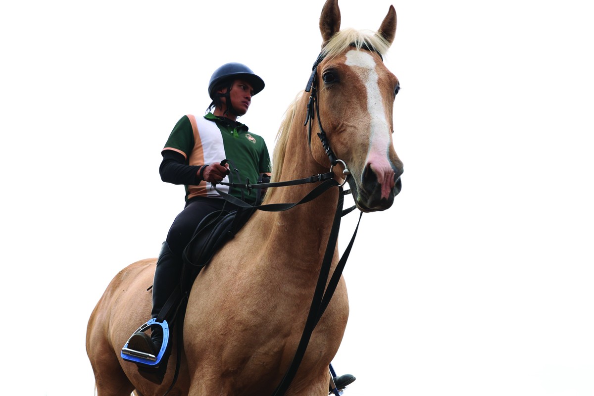 Giống ngựa Akhal Teke được xem là loài ngựa đẹp nhất thế giới, nổi bật với bộ lông óng ánh đặc trưng và mồ hôi có sắc đỏ như máu, biểu trưng cho sức mạnh và sự dẻo dai phi thường. Giá trị mỗi cá thể Akhal Teke có thể lên tới hàng triệu USD. Giống ngựa Akhal Teke được xem là loài ngựa đẹp nhất thế giới, nổi bật với bộ lông óng ánh đặc trưng và mồ hôi có sắc đỏ như máu, biểu trưng cho sức mạnh và sự dẻo dai phi thường. Giá trị mỗi cá thể Akhal Teke có thể lên tới hàng triệu USD.