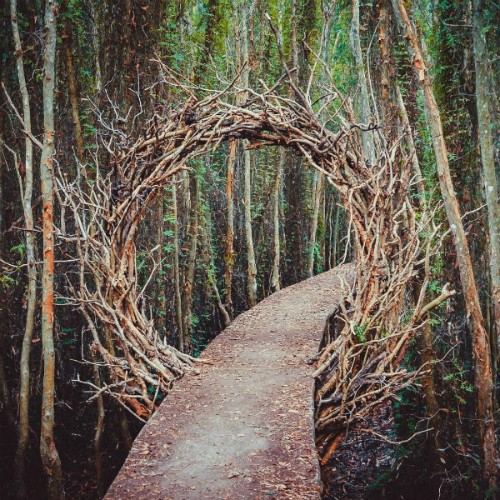 3 gợi ý 'đi trốn' giữa thiên nhiên ngay gần Sài Gòn ảnh 4