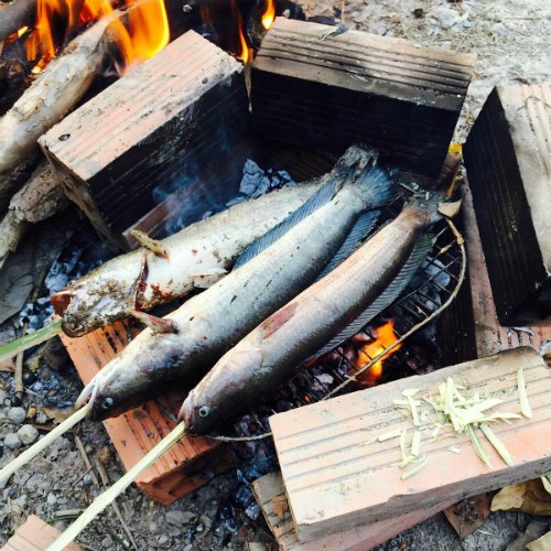 3 gợi ý 'đi trốn' giữa thiên nhiên ngay gần Sài Gòn ảnh 8