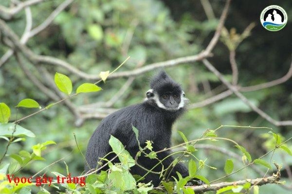 Hai tác phẩm đạt giải Nhì cuộc thi.