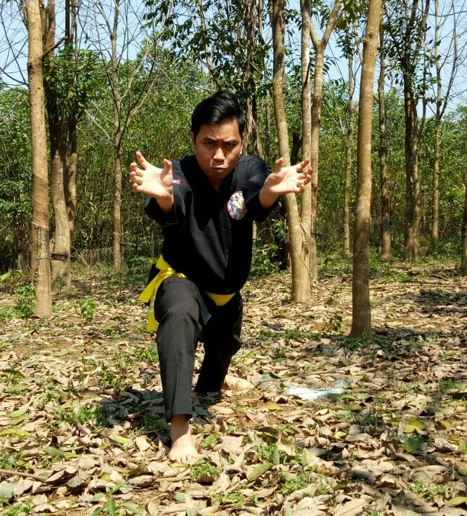 Tản mạn về chó và tượng hình trong võ thuật ảnh 4