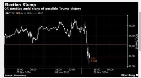 Ông Donald Trump trở thành Tổng thống thứ 45 của Mỹ ảnh 9