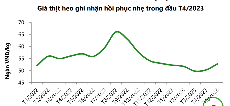 Giá thịt heo được kỳ vọng hồi phục vào cuối năm