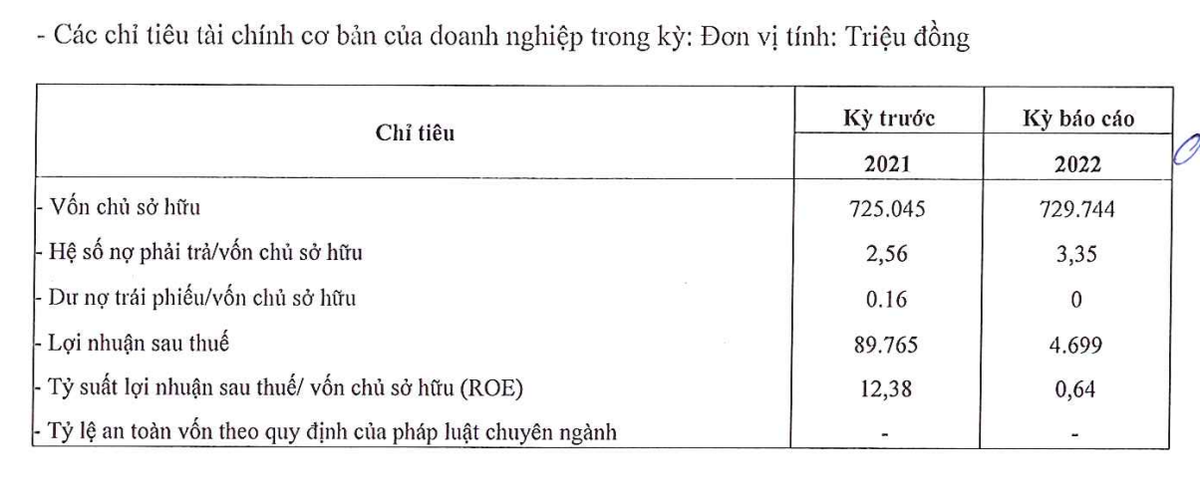 Các chỉ tiêu cơ bản của Đầu tư Con Cưng năm 2022