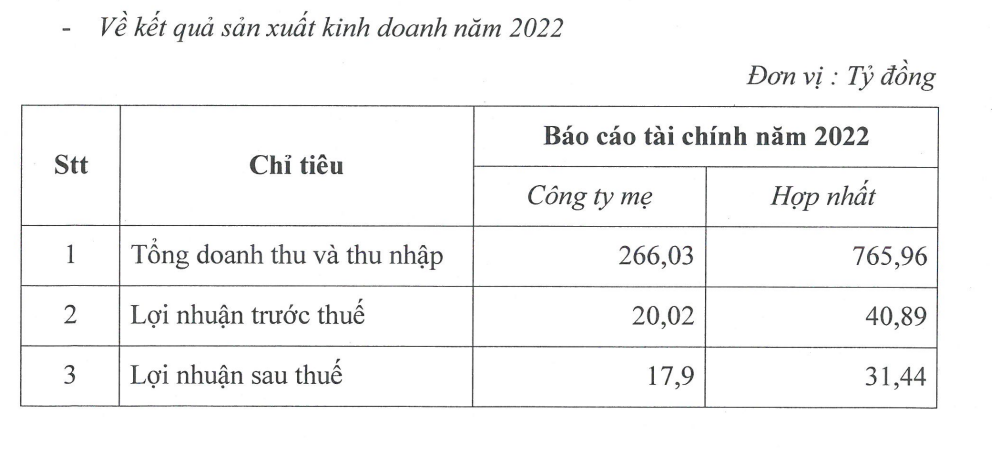 Kết quả kinh doanh năm 2022 của VGV