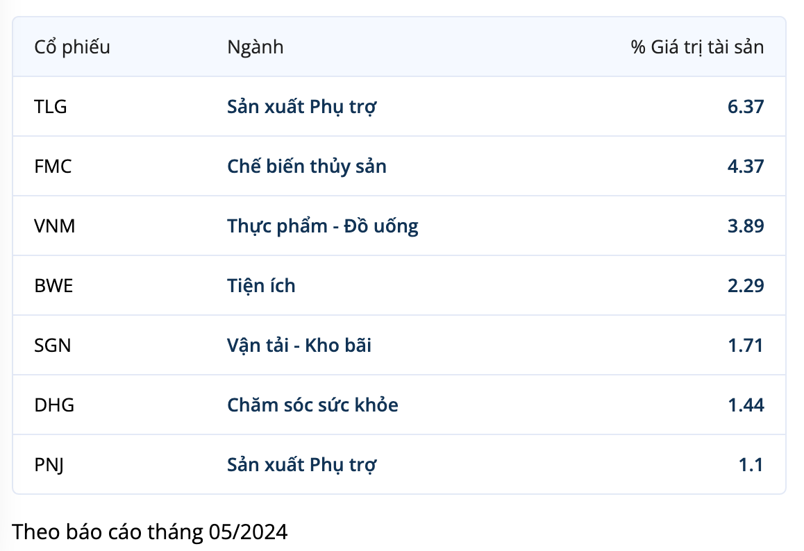 Danh mục cổ phiếu của TBLF tính tới cuối tháng 5