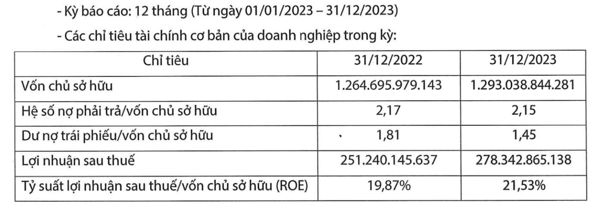 Thông tin tài chính năm 2023 của Điện mặt trời Trung Nam