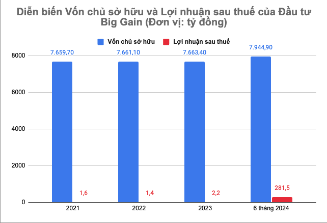 Lợi nhuận sau thuế của Big Gain rất khiêm tốn so với quy mô vốn chủ sở hữu
