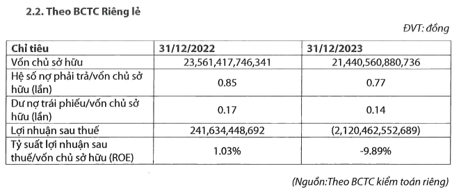 Thông tin tài chính riêng lẻ của Đầu tư Xây dựng Trung Nam năm 2023