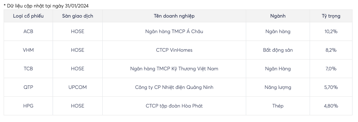 Top 5 khoản đầu tư lớn nhất danh mục quỹ