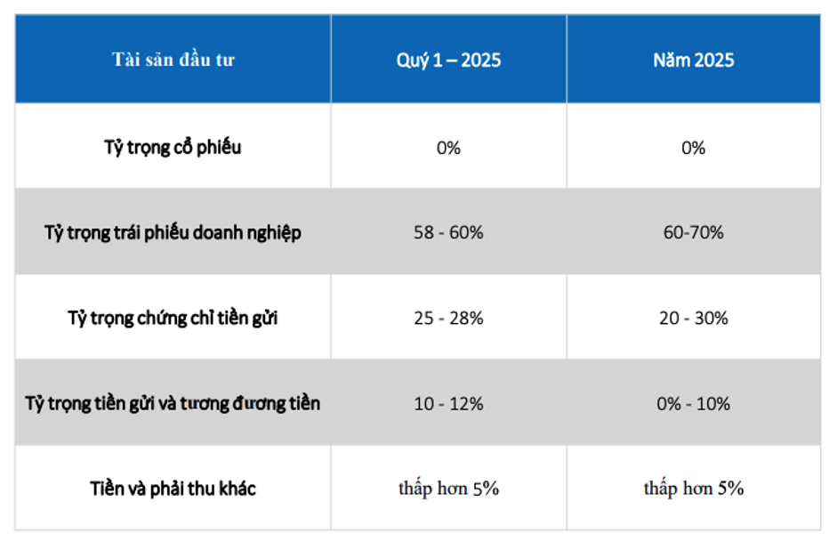 Chiến lược phân bổ tài sản đầu tư năm 2025