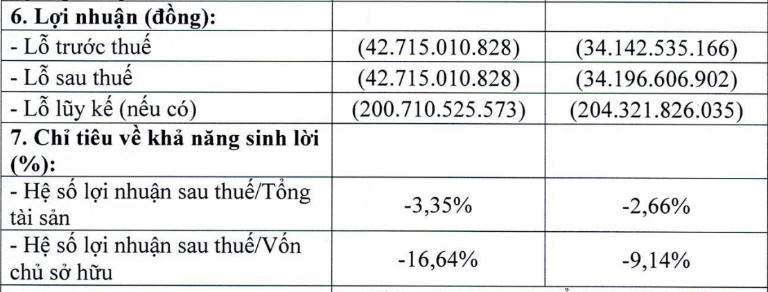 Thông tin tài chính nửa đầu năm 2026 của Đầu tư nhà ở xã hội Thuận Thành