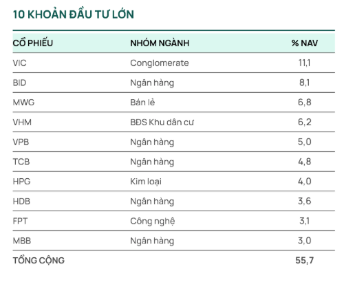 Top 10 khoản đầu tư lớn nhất danh mục của DCDS trong tháng 8
