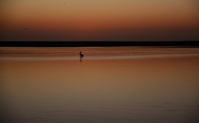 (Chùm ảnh) Thiên nhiên nước Úc qua góc máy của du học sinh ảnh 4 (Chùm ảnh) Thiên nhiên nước Úc qua góc máy của du học sinh ảnh 4