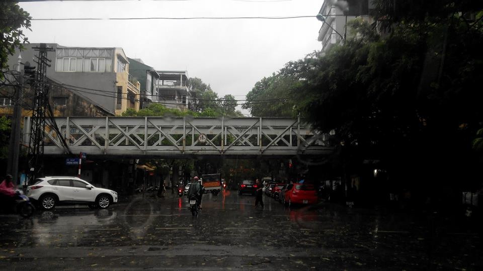 Mưa ngập, cây đổ hàng loạt trên phố Hà Nội ảnh 1