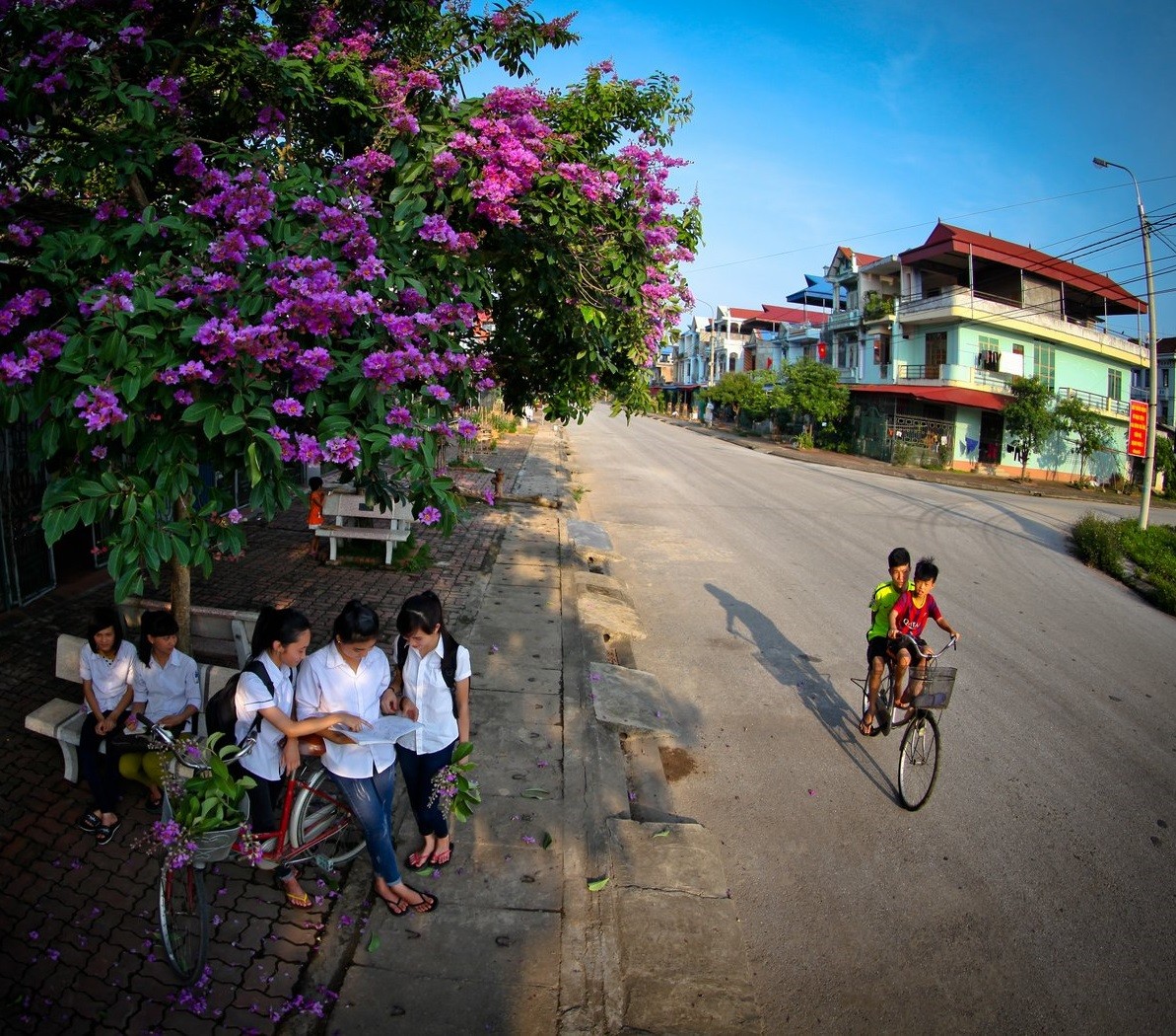 Masan Resources cam kết minh bạch thông tin về môi trường dự án Núi Pháo ảnh 1