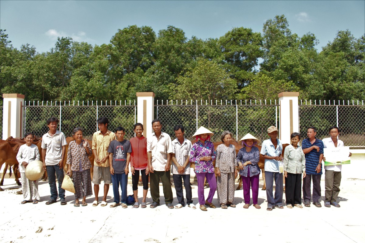 Masan Nutri-Science tặng 30 con bò giống cho người dân xã Lộc Giang, tỉnh Long An ảnh 1