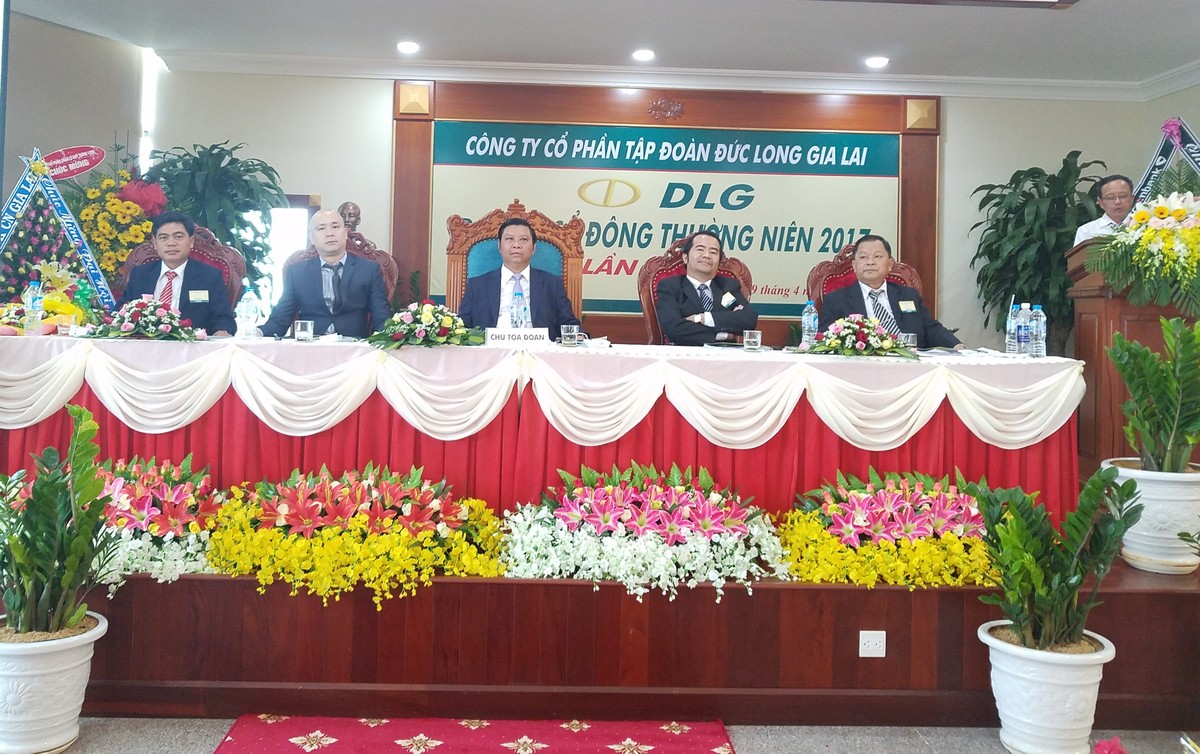 Năm 2017, DLG mở rộng đầu tư lĩnh vực xây dựng dân dụng - cầu đường và công nghiệp ảnh 1