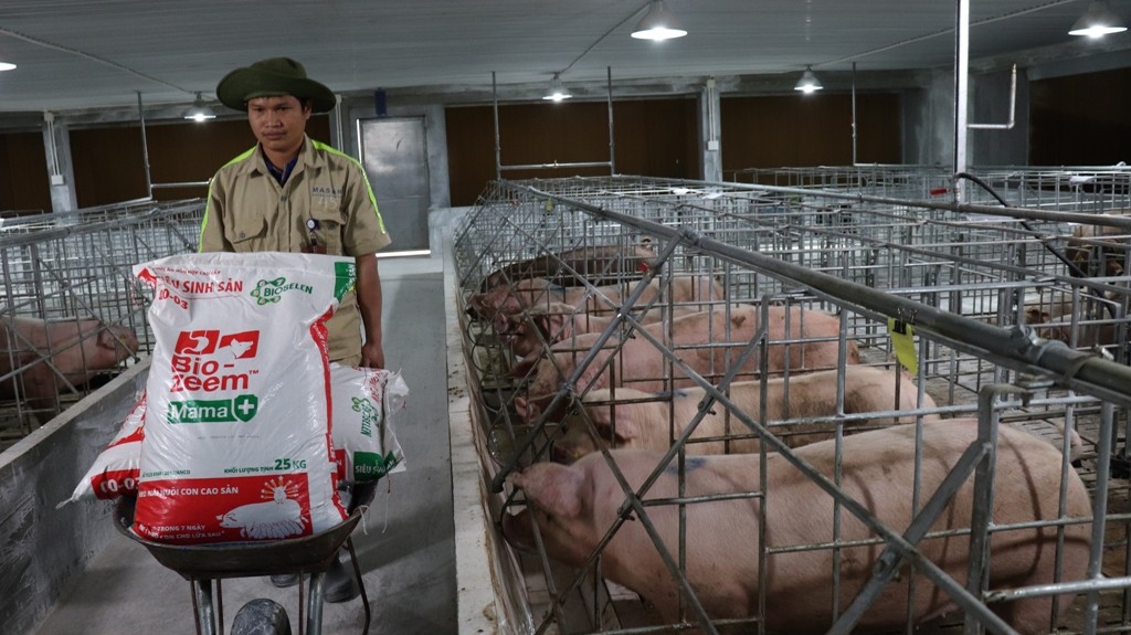 Masan báo cáo lợi nhuận tăng hơn 3 lần nửa đầu năm 2018  ảnh 3