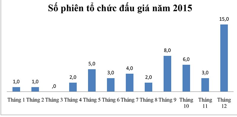 Năm 2015, đấu giá cổ phần trên HOSE thu về hơn 4.450 tỷ đồng ảnh 1