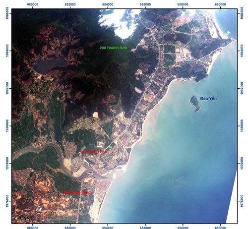 Cá chết hàng loạt, không phải do động đất, tràn dầu ảnh 1