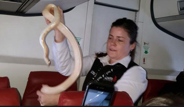 Những vụ bê bối gây chấn động của ngành hàng không Mỹ đầu năm 2017 ảnh 13