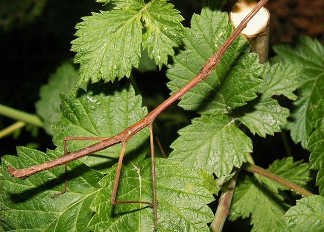 Những hình ảnh cho thấy sự kỳ diệu của tự nhiên ảnh 12