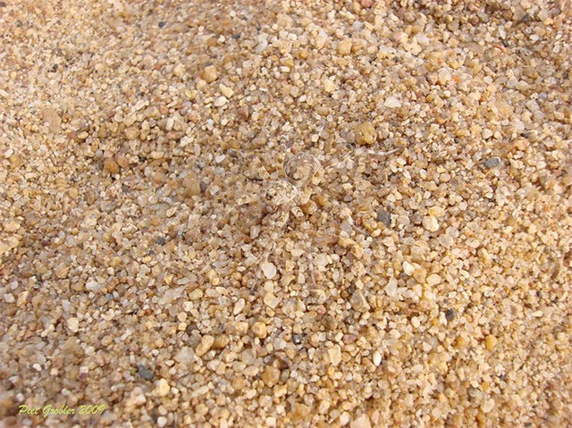 Những hình ảnh cho thấy sự kỳ diệu của tự nhiên ảnh 7