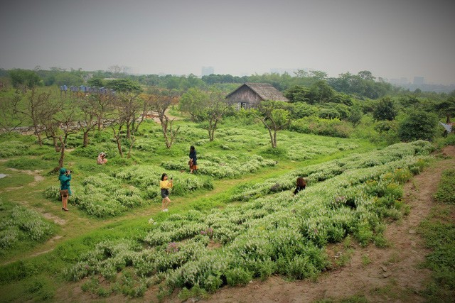 “Săn” những điểm chụp ảnh cực phong cách tại Hà Nội ảnh 1