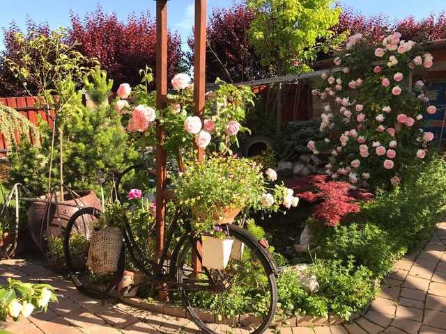 Ngôi nhà hoa hồng “đẹp như cổ tích” của nữ Việt kiều Hungary ảnh 2