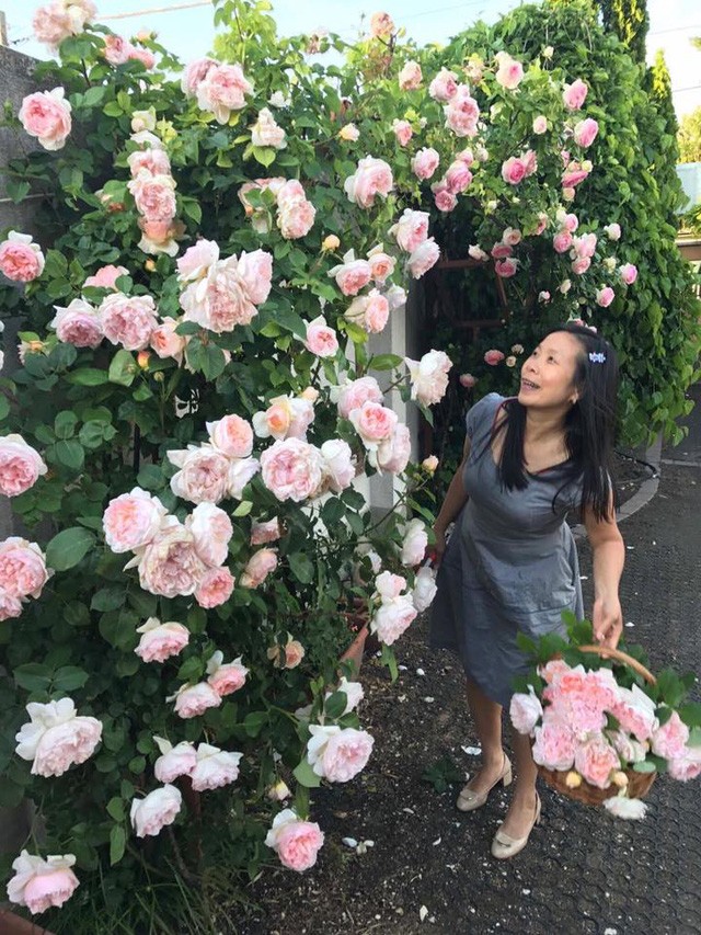 Ngôi nhà hoa hồng “đẹp như cổ tích” của nữ Việt kiều Hungary ảnh 9