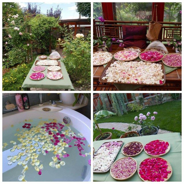 Ngôi nhà hoa hồng “đẹp như cổ tích” của nữ Việt kiều Hungary ảnh 11