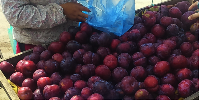 “Đội lốt” hàng Việt, đào, mận Trung Quốc tràn ngập phố ảnh 1