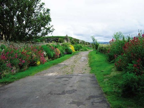 Những nẻo đường ngày hè ở Anh ảnh 6