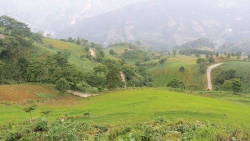 Hấp dẫn vùng trà Chế Là ảnh 2