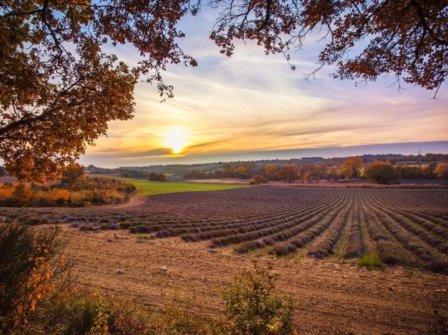 15 chuyến đi dành cho cặp đôi trong mùa Thu này ảnh 14