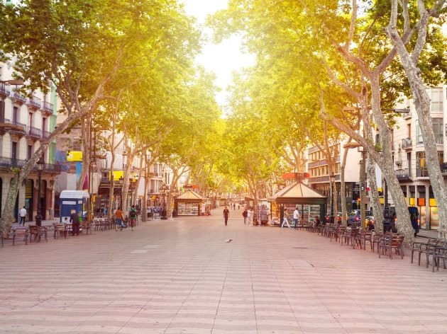 15 chuyến đi dành cho cặp đôi trong mùa Thu này ảnh 15