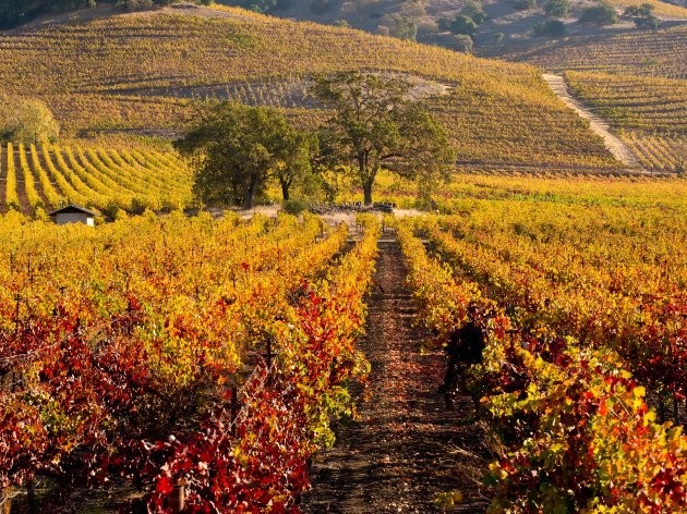 15 chuyến đi dành cho cặp đôi trong mùa Thu này ảnh 9