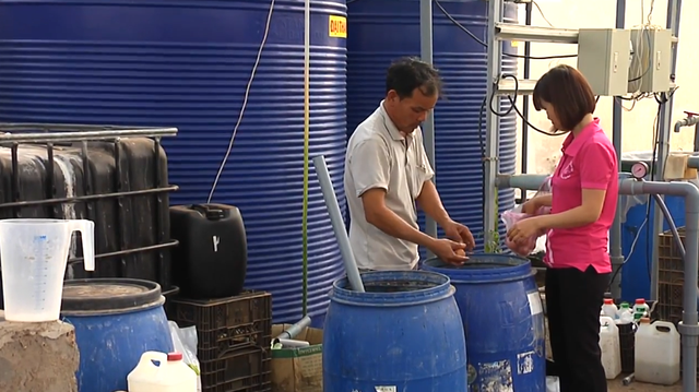 Kiếm trăm triệu mỗi tháng nhờ độc chiêu trồng cà chua từ... trứng gà và sữa ảnh 5