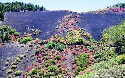 Những cung đường ngoạn mục trên đảo Tenerife ảnh 2