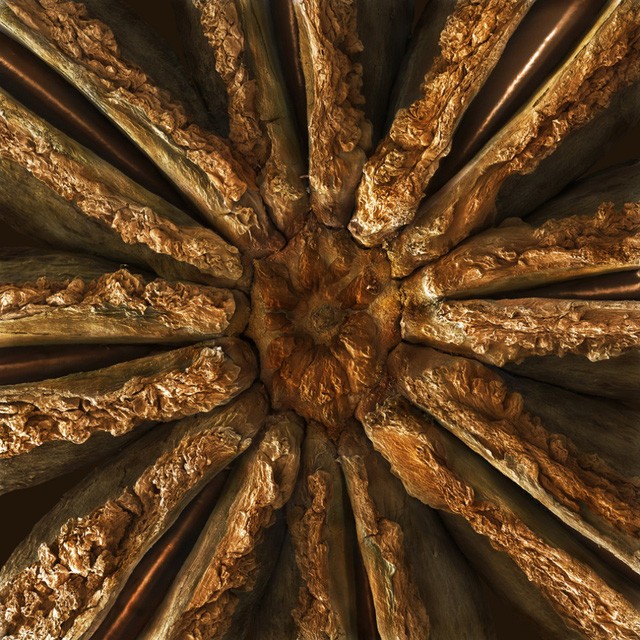 Cấu trúc hình sao đặc trưng của hoa hồi khi được phóng đại.