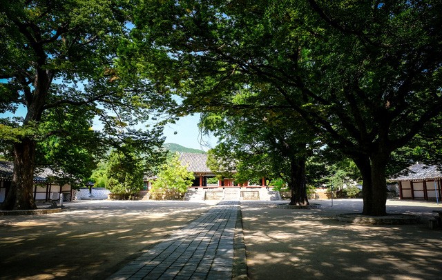 Mùa thu thơ mộng ở Triều Tiên qua góc máy du khách Việt ảnh 4