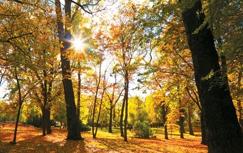 Budapest: “Paris giữa lòng Đông Âu“ ảnh 4