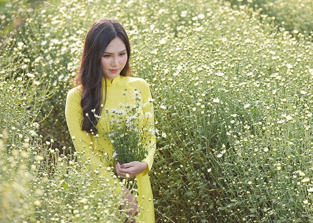 Cho thuê chụp ảnh, chủ vườn cúc họa mi kiếm hàng chục triệu mỗi ngày ảnh 14 Cho thuê chụp ảnh, chủ vườn cúc họa mi kiếm hàng chục triệu mỗi ngày ảnh 14