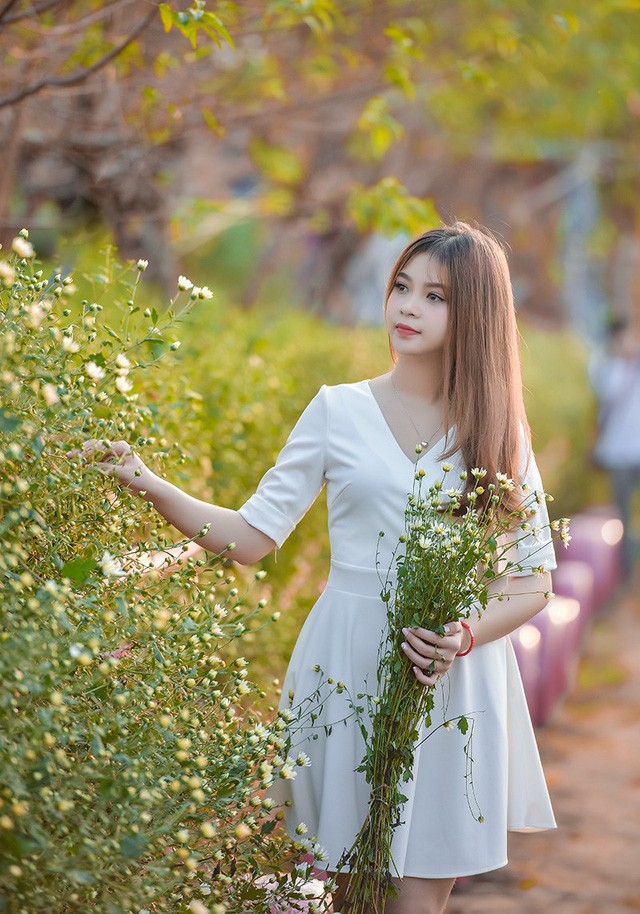 Cho thuê chụp ảnh, chủ vườn cúc họa mi kiếm hàng chục triệu mỗi ngày ảnh 4 Nhiếp ảnh Xuân Bách cũng chia sẻ thêm rằng, khoảng 1 tuần trở lại đây, anh nhận được nhiều đơn đặt của khách chụp ảnh ở vườn cúc hoạ mi. Do vậy, cả tuần, hầu như ngày nào anh cũng làm việc tại vườn.