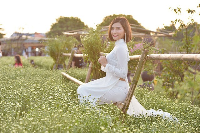 Cho thuê chụp ảnh, chủ vườn cúc họa mi kiếm hàng chục triệu mỗi ngày ảnh 13 Cho thuê chụp ảnh, chủ vườn cúc họa mi kiếm hàng chục triệu mỗi ngày ảnh 13